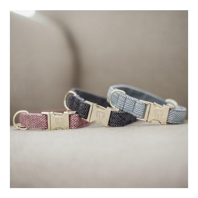 Hundehalsband Wool - grau