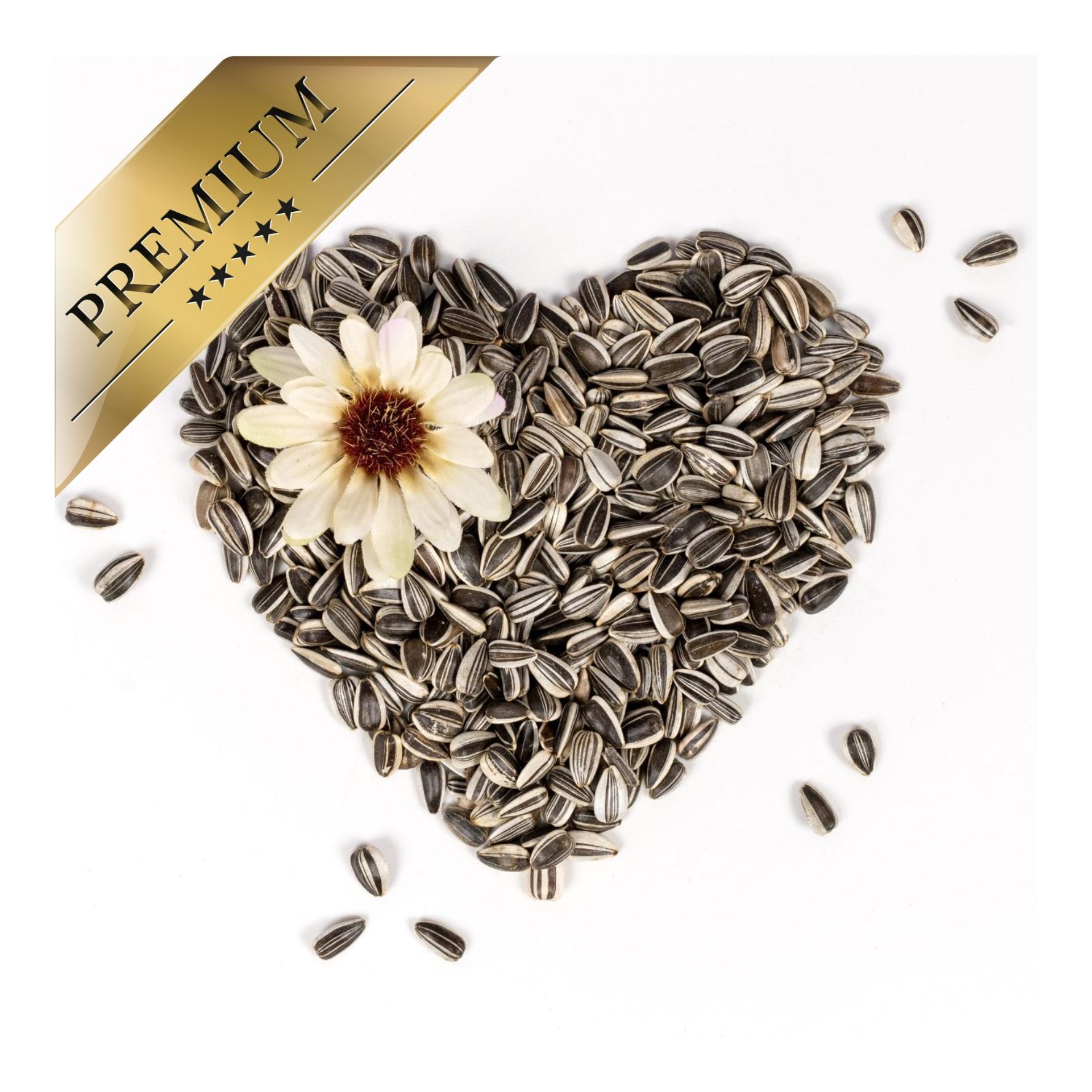 Sonnenblumenkerne gestreift