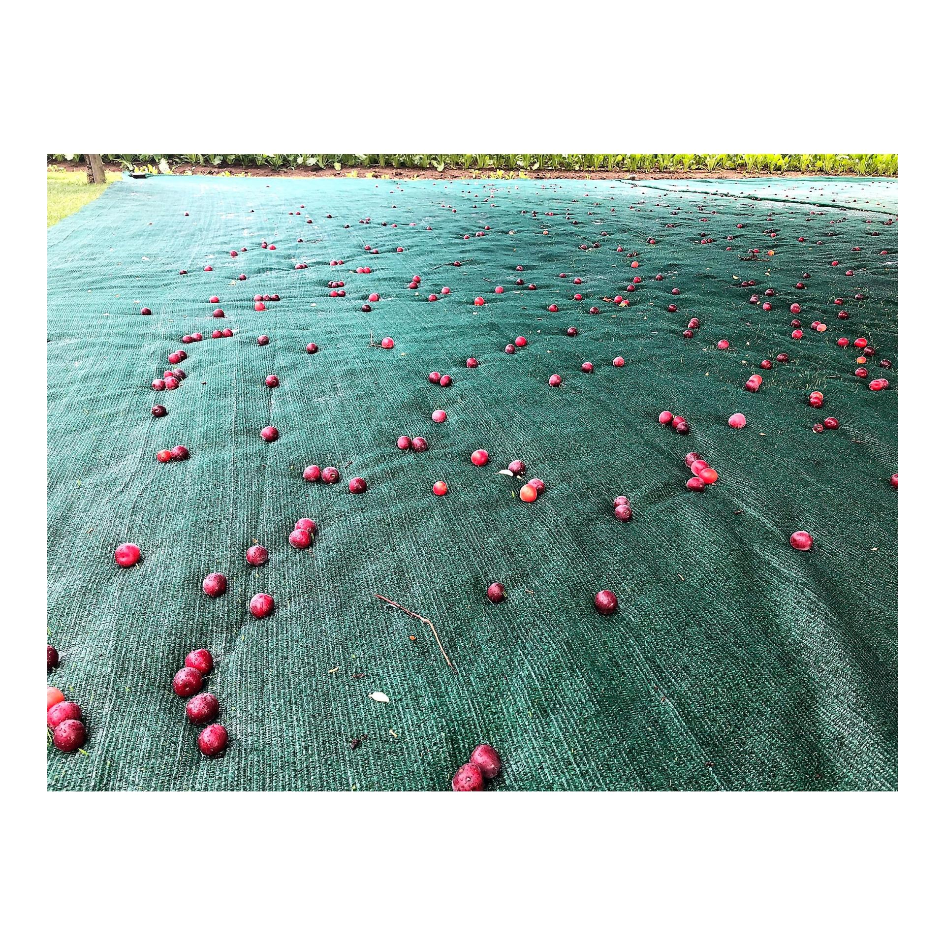 Erntenetz - gesäumt mit Ösen