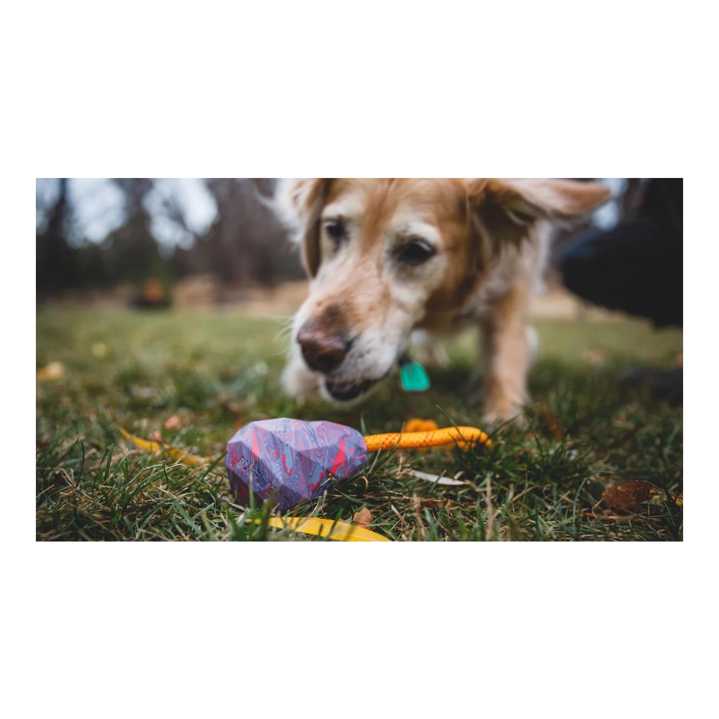 Hundespielzeug Huck-a-Cone