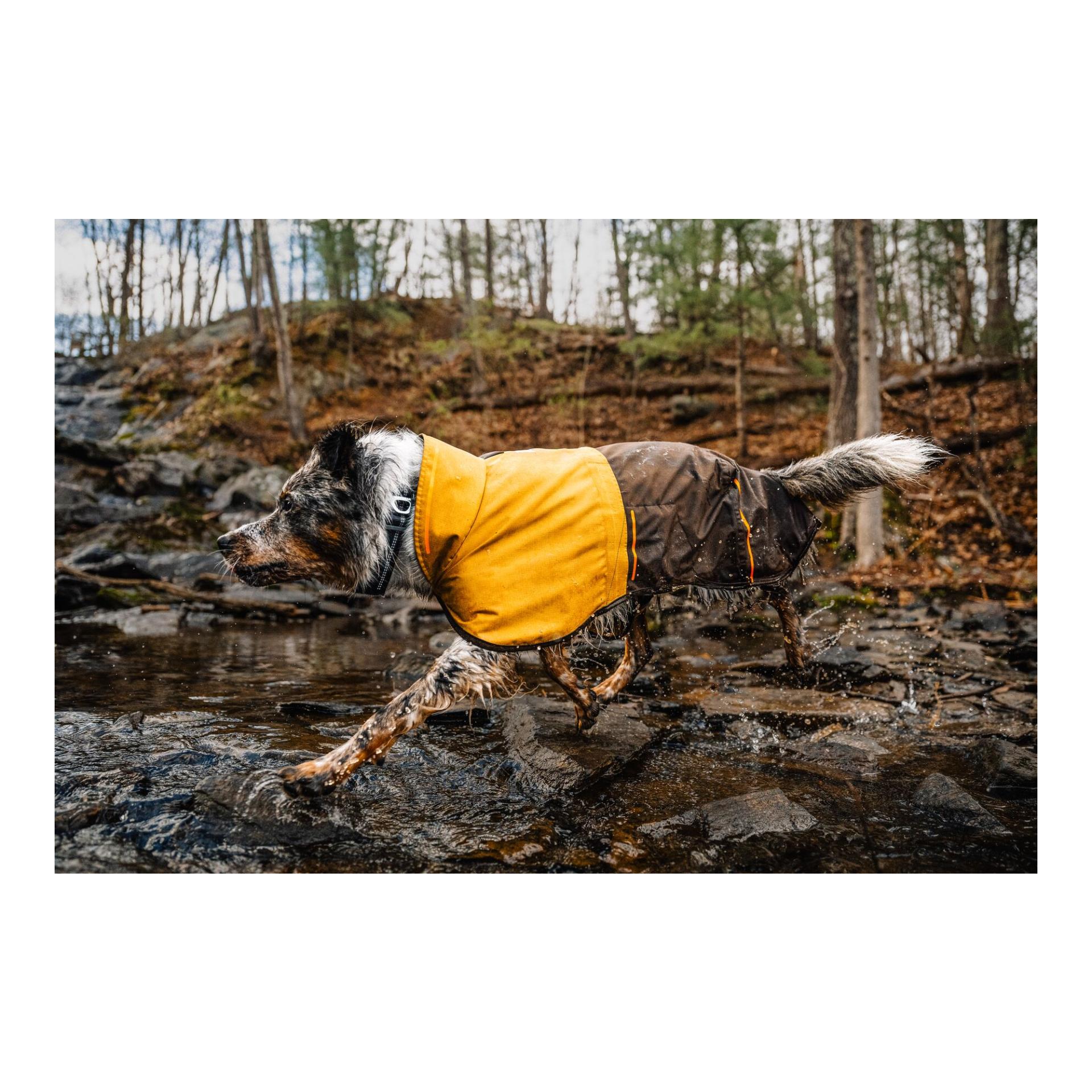 Hundemantel Sun Shower Jacket