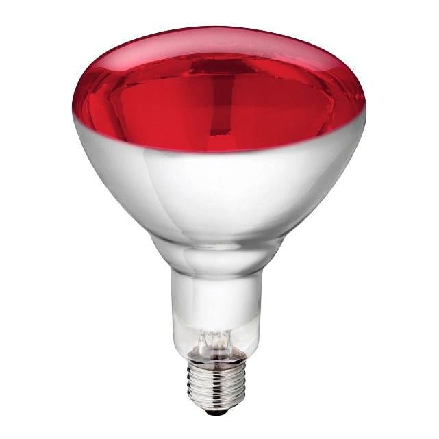 Image of Philips Hartglas-Infrarotlampe rot bei Hauptner.ch