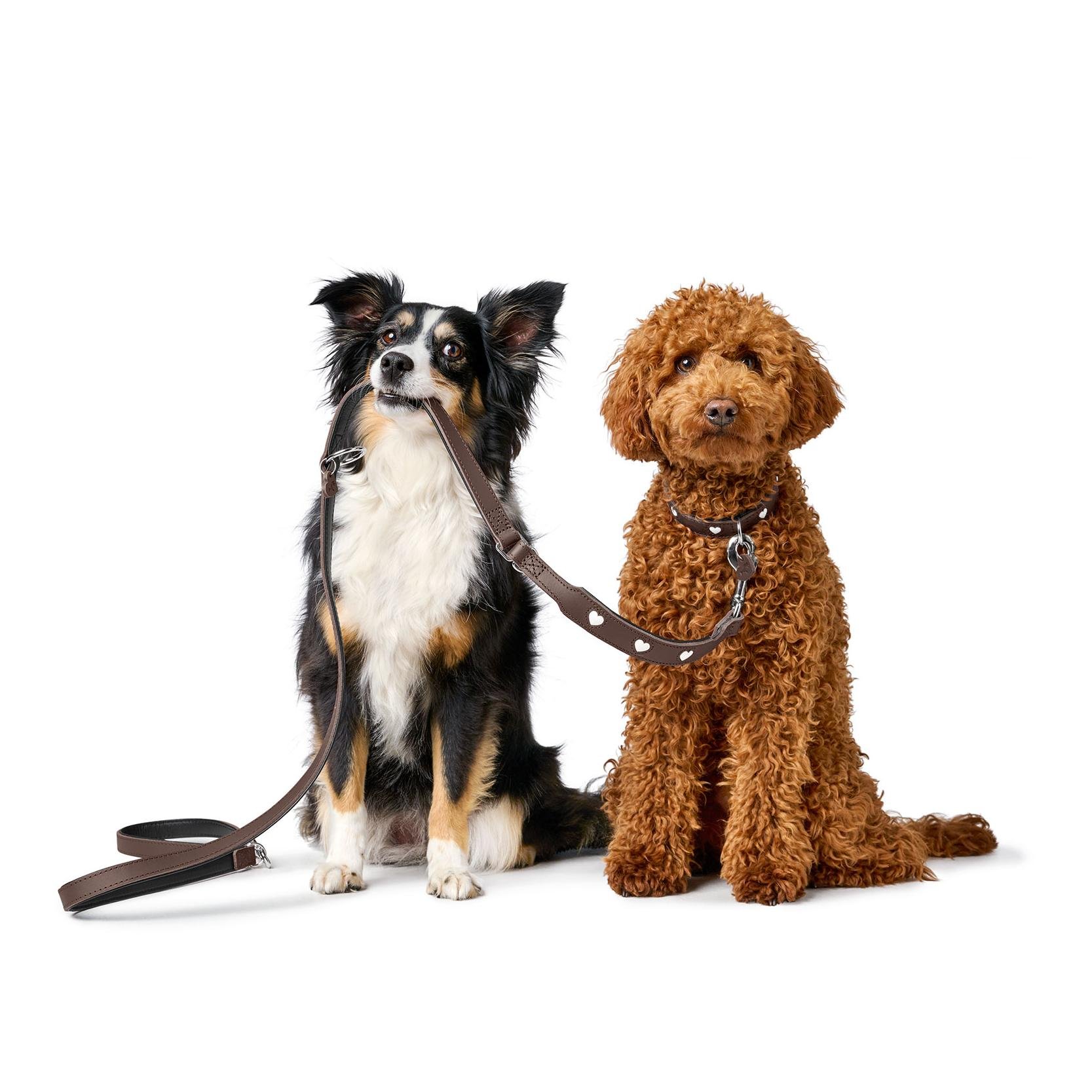 Hunter Verstellbare Führleine Love