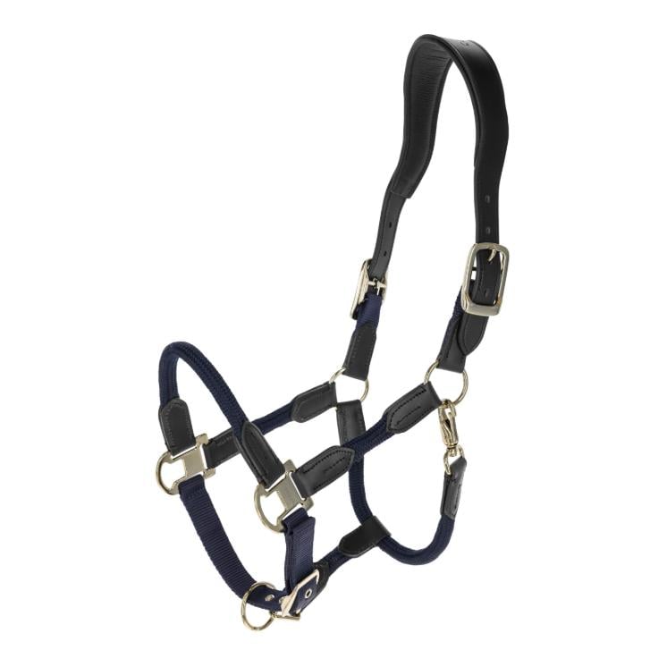 Halfter Cordano Deluxe F/S 2026