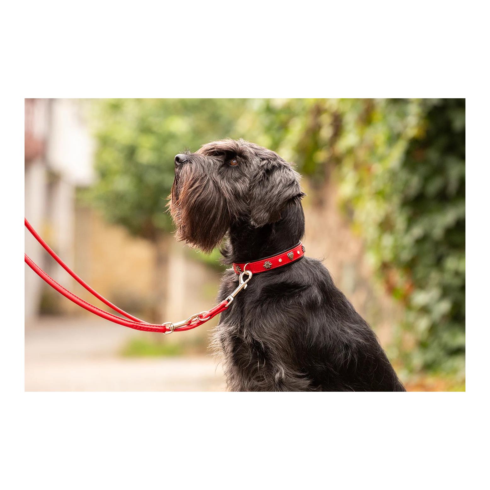 Maul Lederwaren Hundehalsband Herzilein 