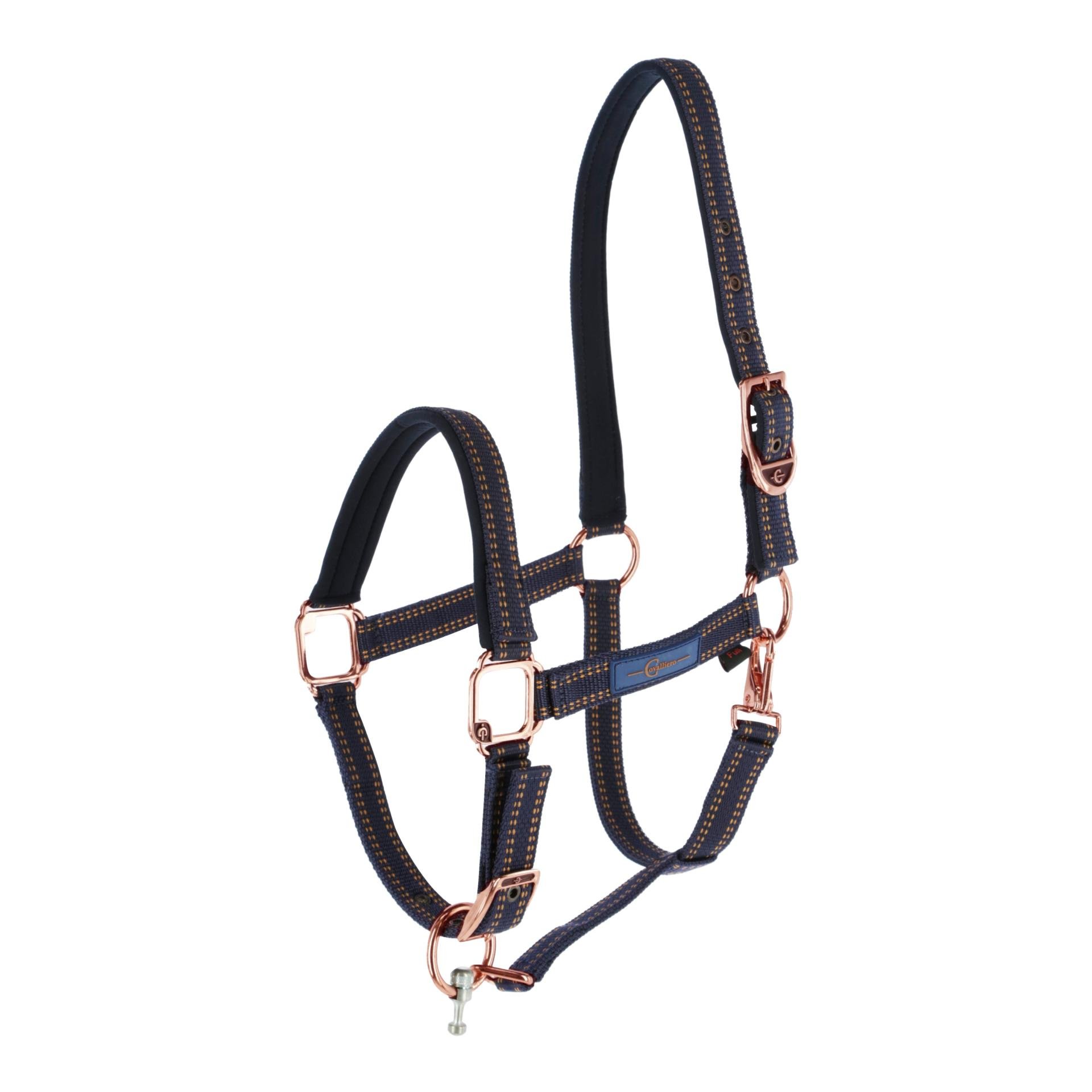 Image of Covalliero GoLeyGo 2.0 Halfter - blau/caramel bei Hauptner.ch