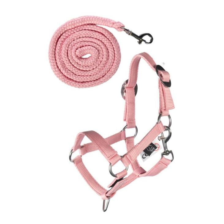 Halfter und Strick -Hobby Horsing Basic