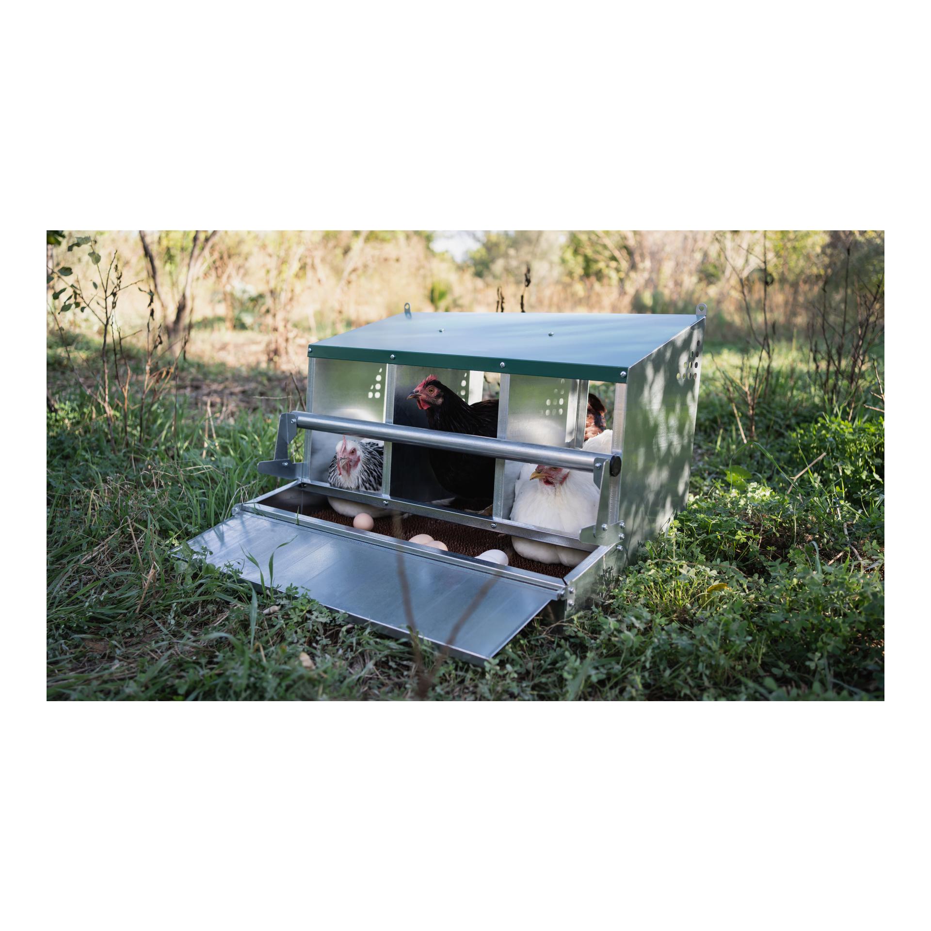 Abroll-Legenest Fenix