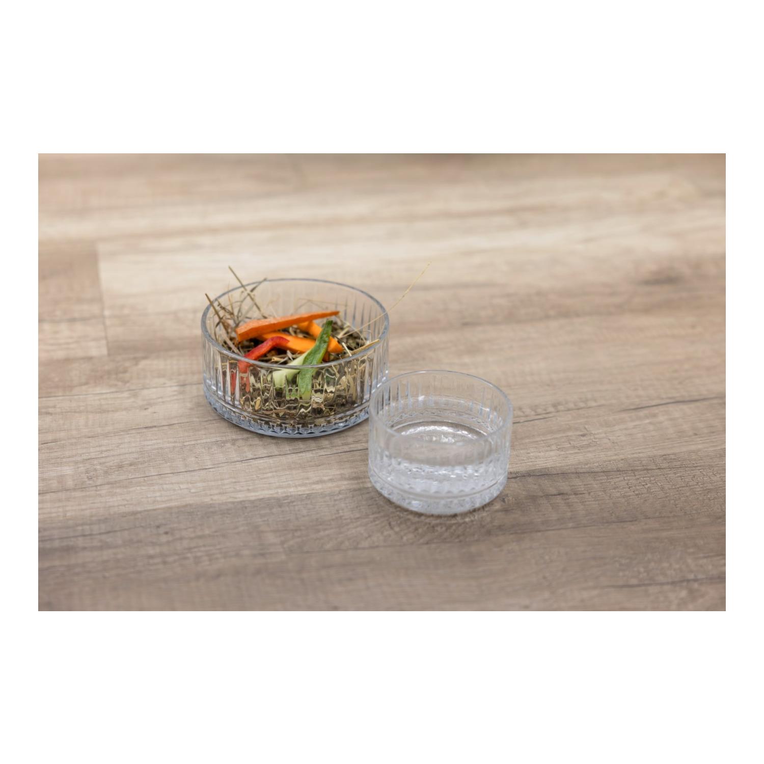 Ecuelle en verre pour animaux domestiques