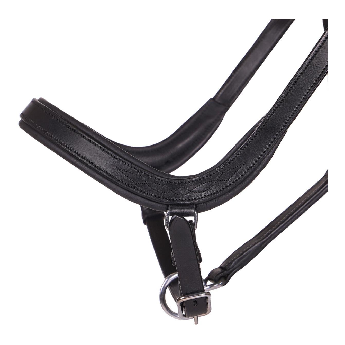 Lederhalfter Salerno anatomisch