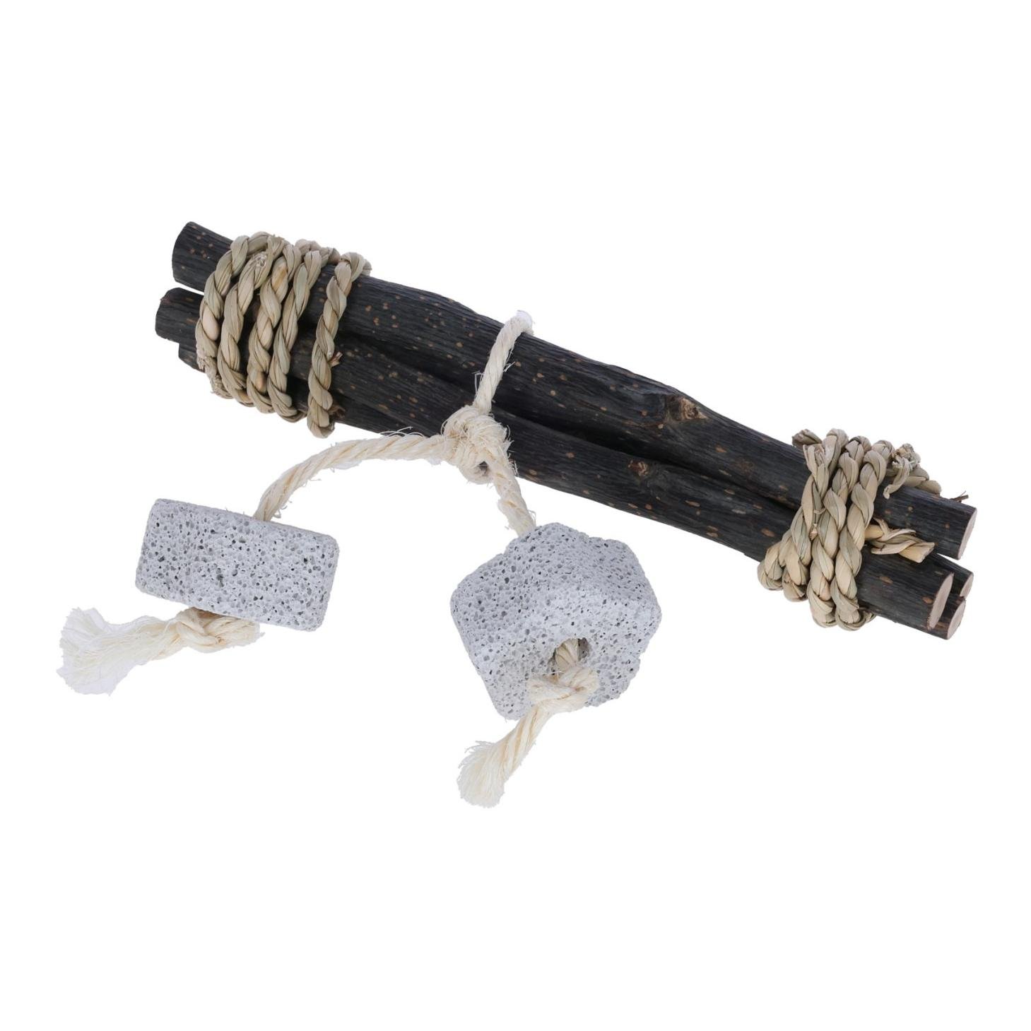 Spiel- und Knabberholz mit Lavastein