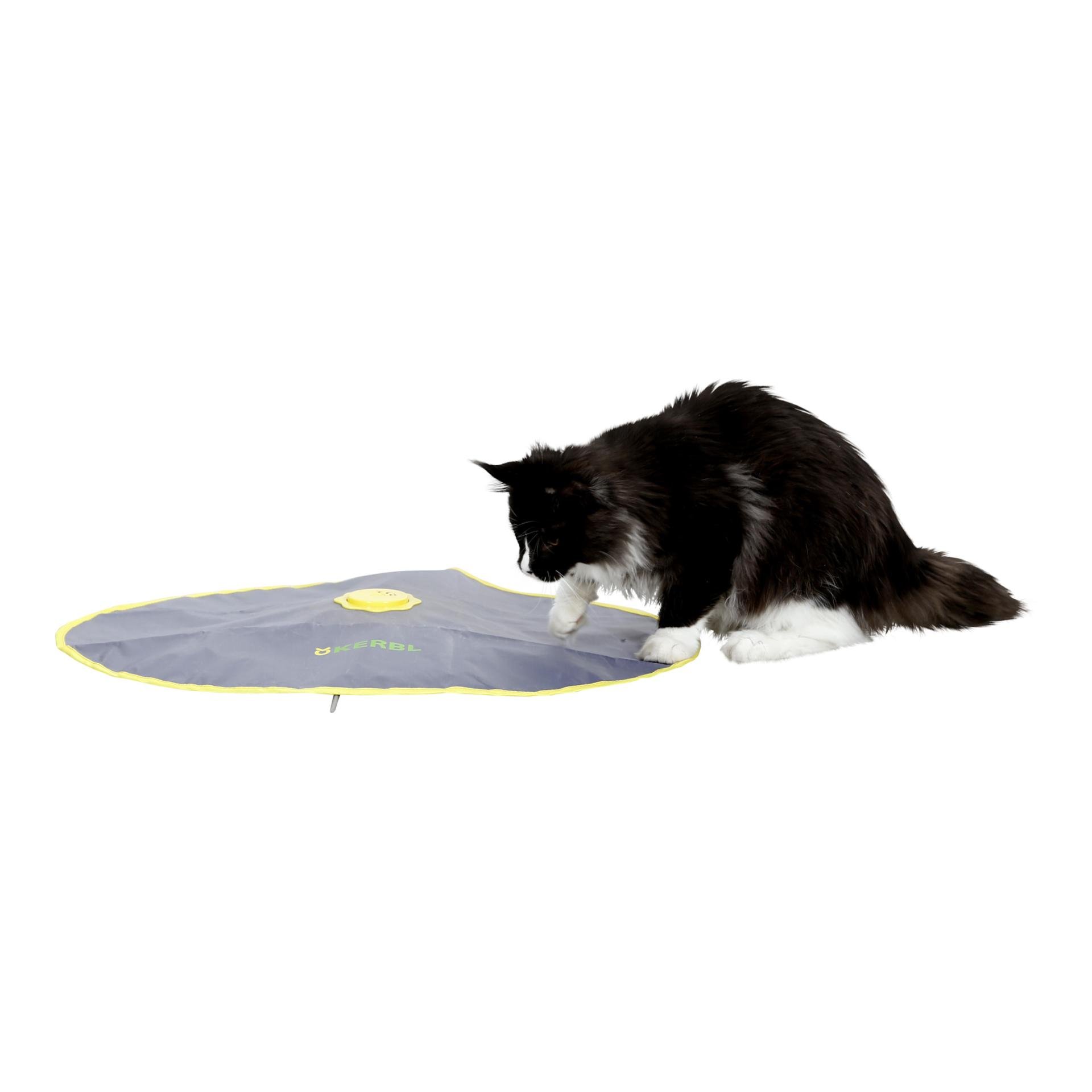 Katzenspielzeug automatisch 2in1