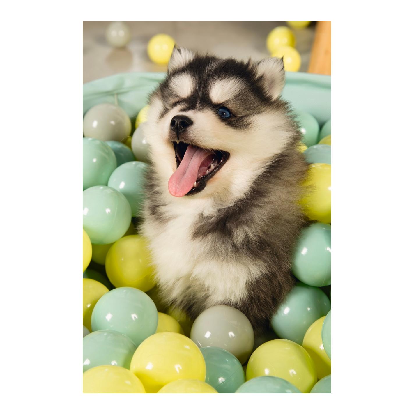 Spielbälle für Bällebad 