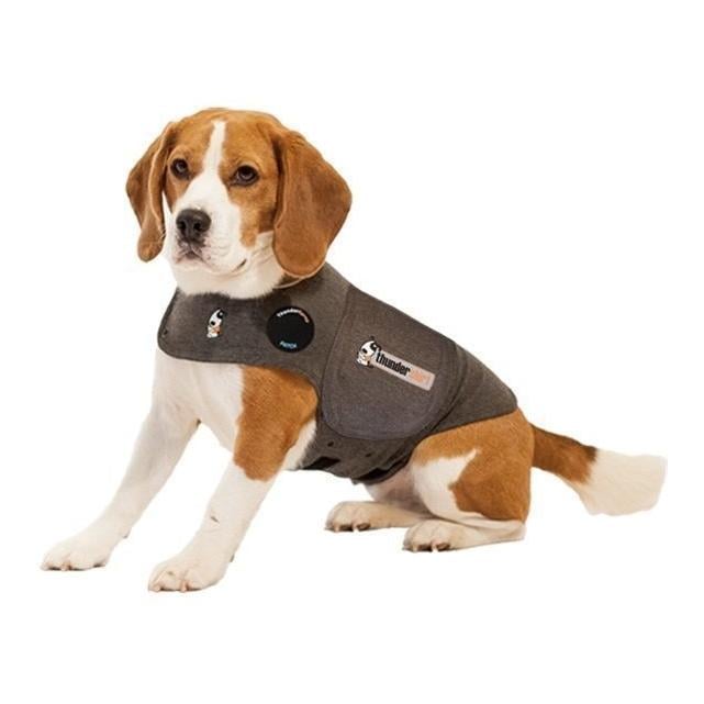 Gilet anti-stress pour chien