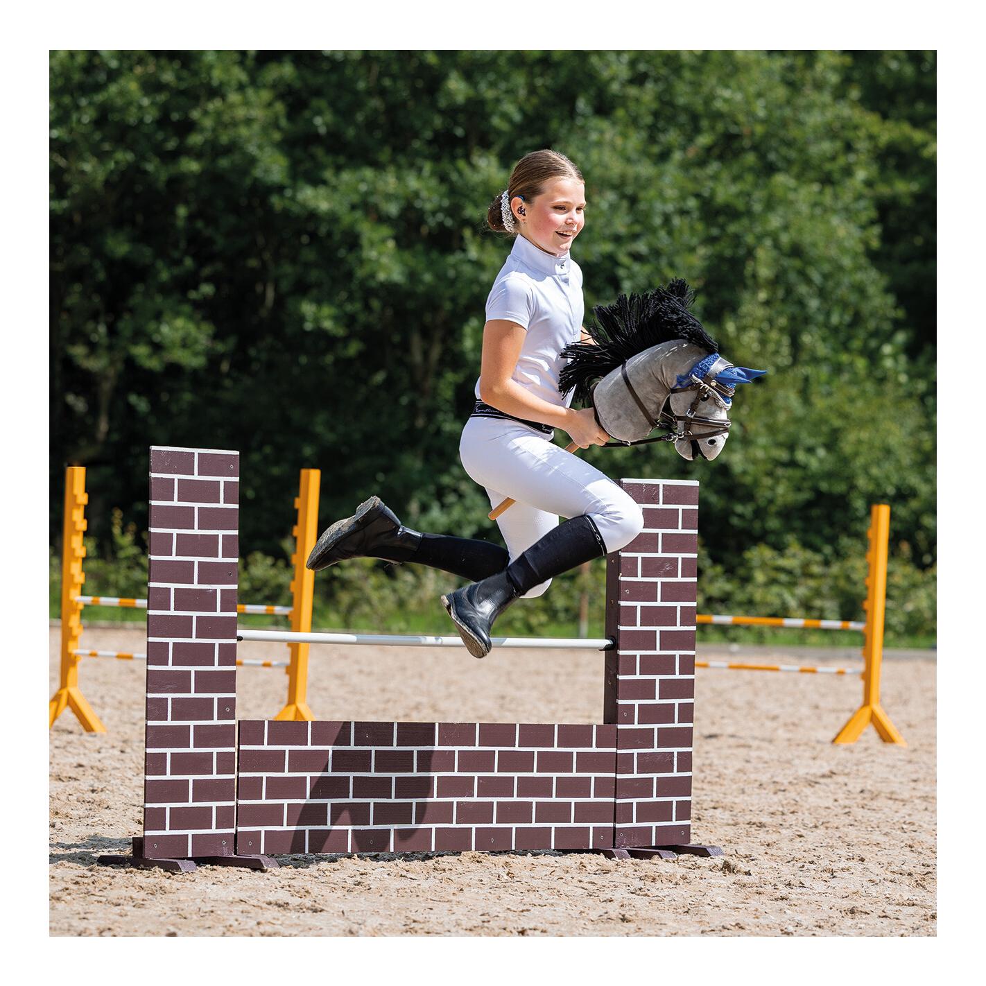 Bridle luxury stitched Hobby Horse