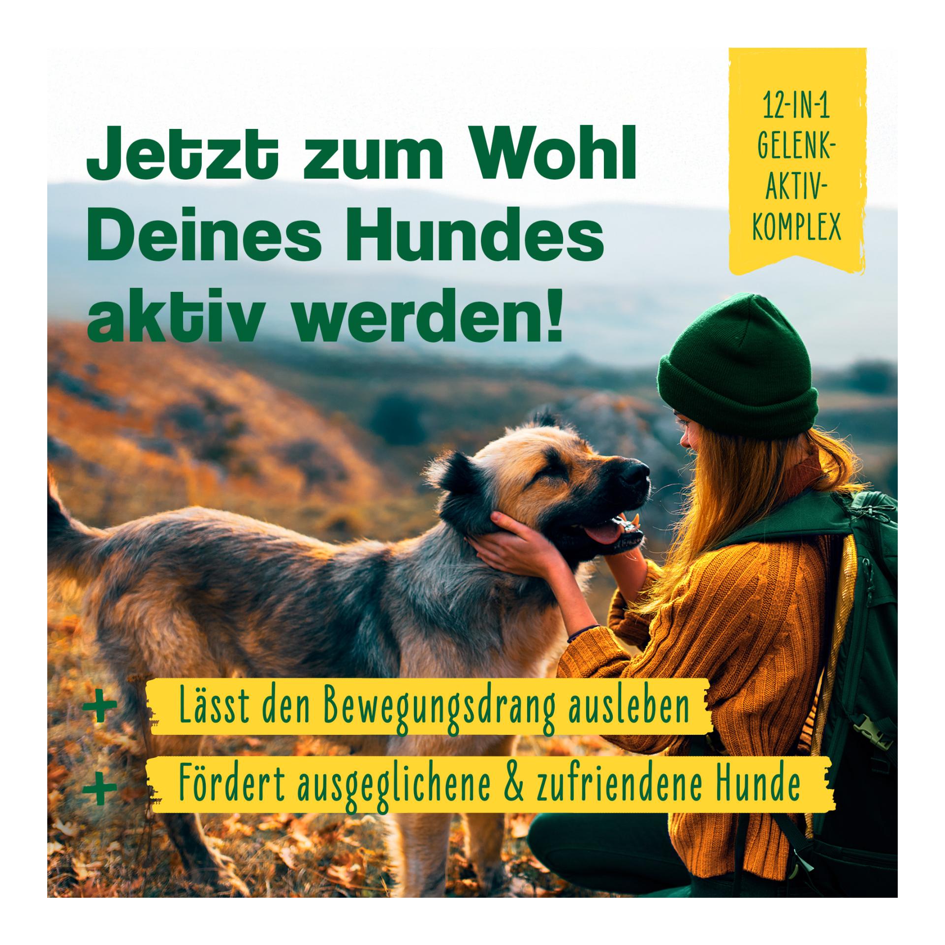 IdaPlus 12-in-1-Move Complex