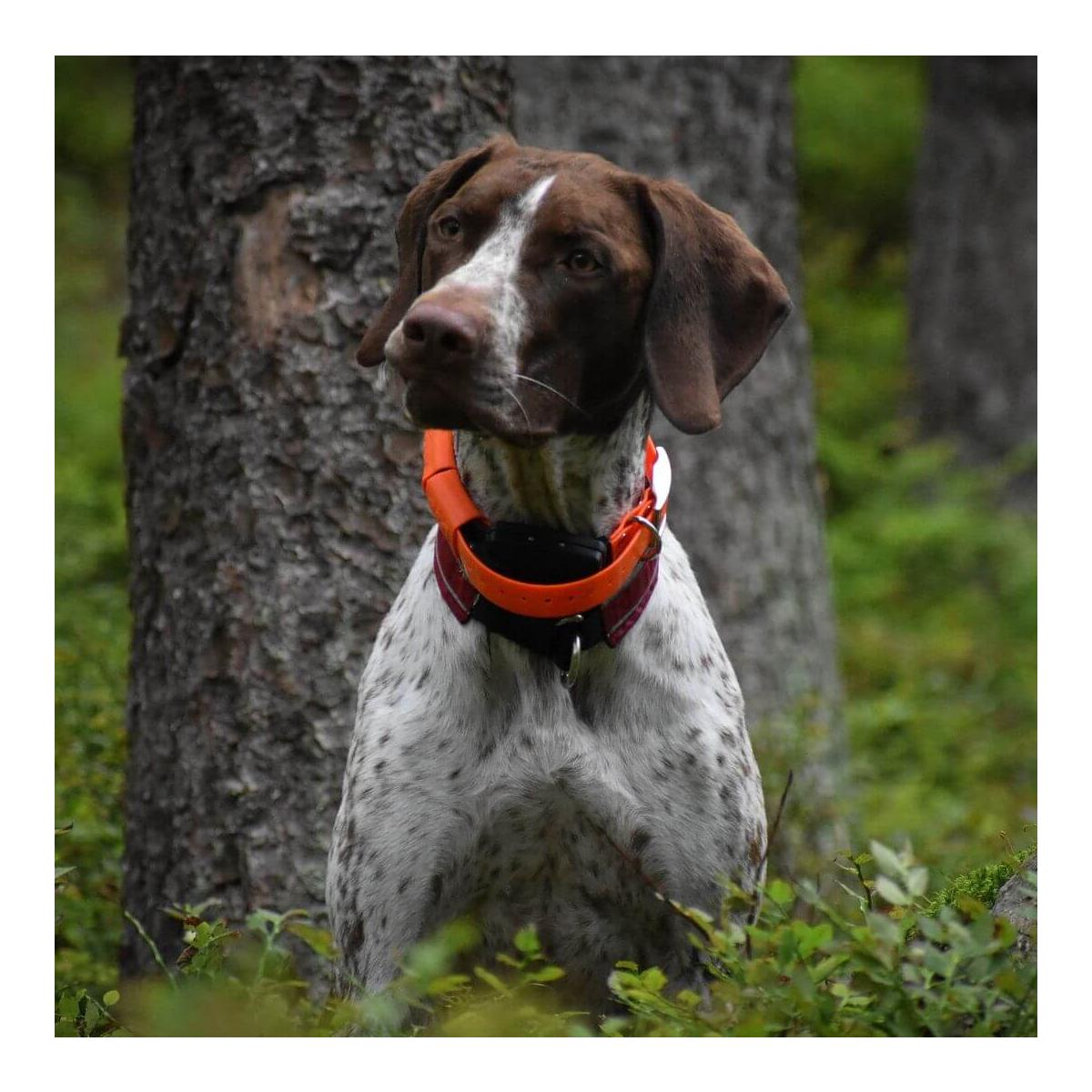 GPS X20 Hundeortungsgerät