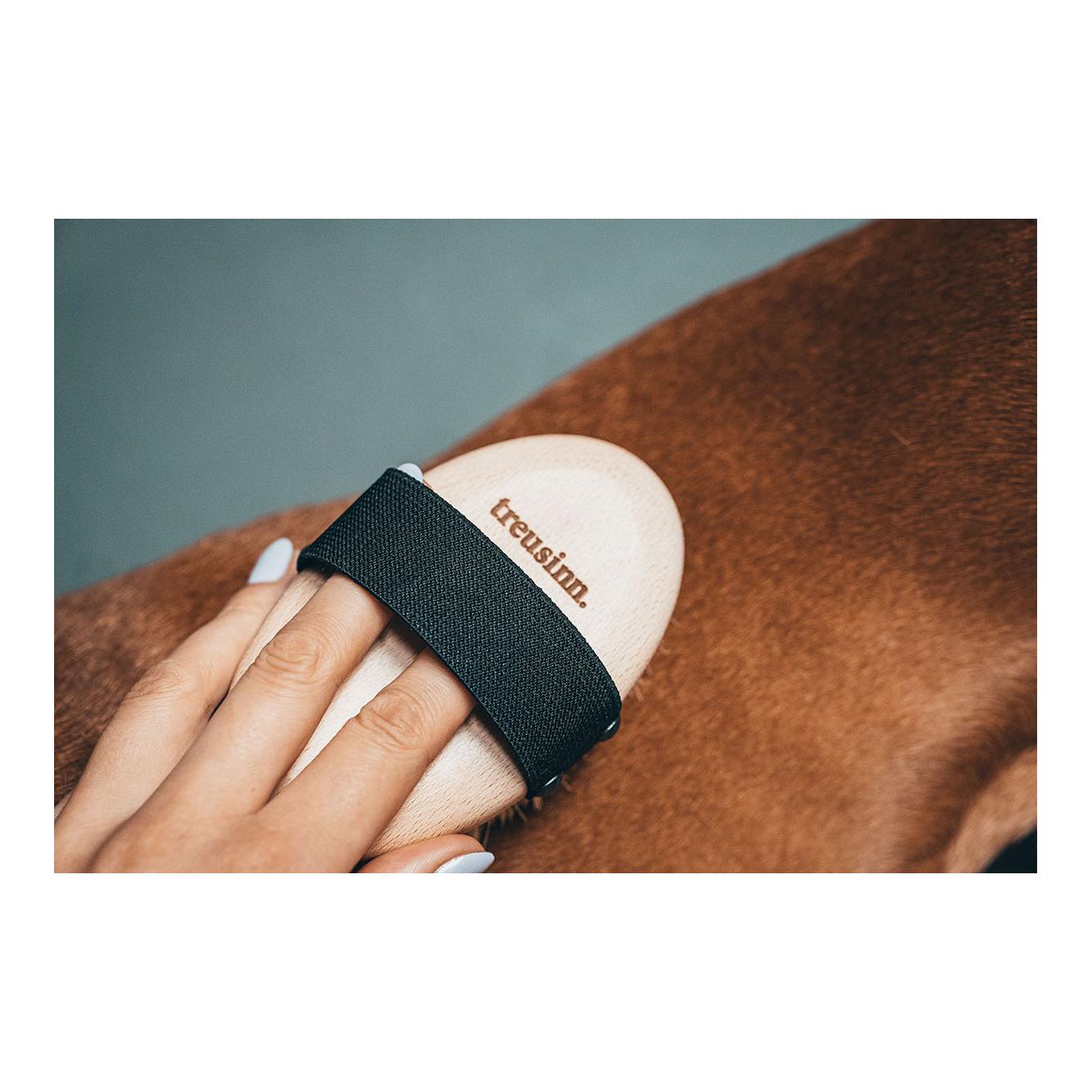 Hundebürste ZOTTL Kurzhaar