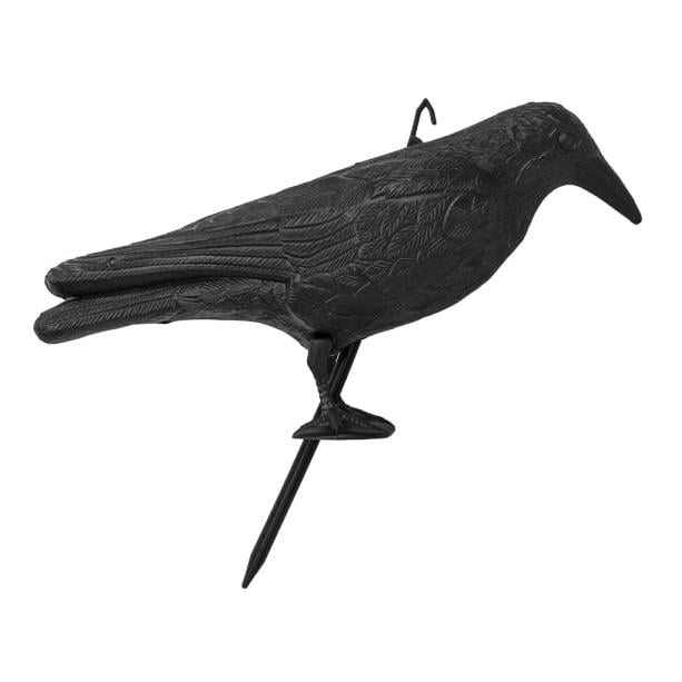 Bradas Vogelabwehr - Rabe sitzend