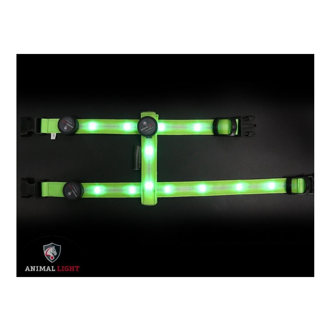 Leucht - Hundegeschirr "Ninja" - grün