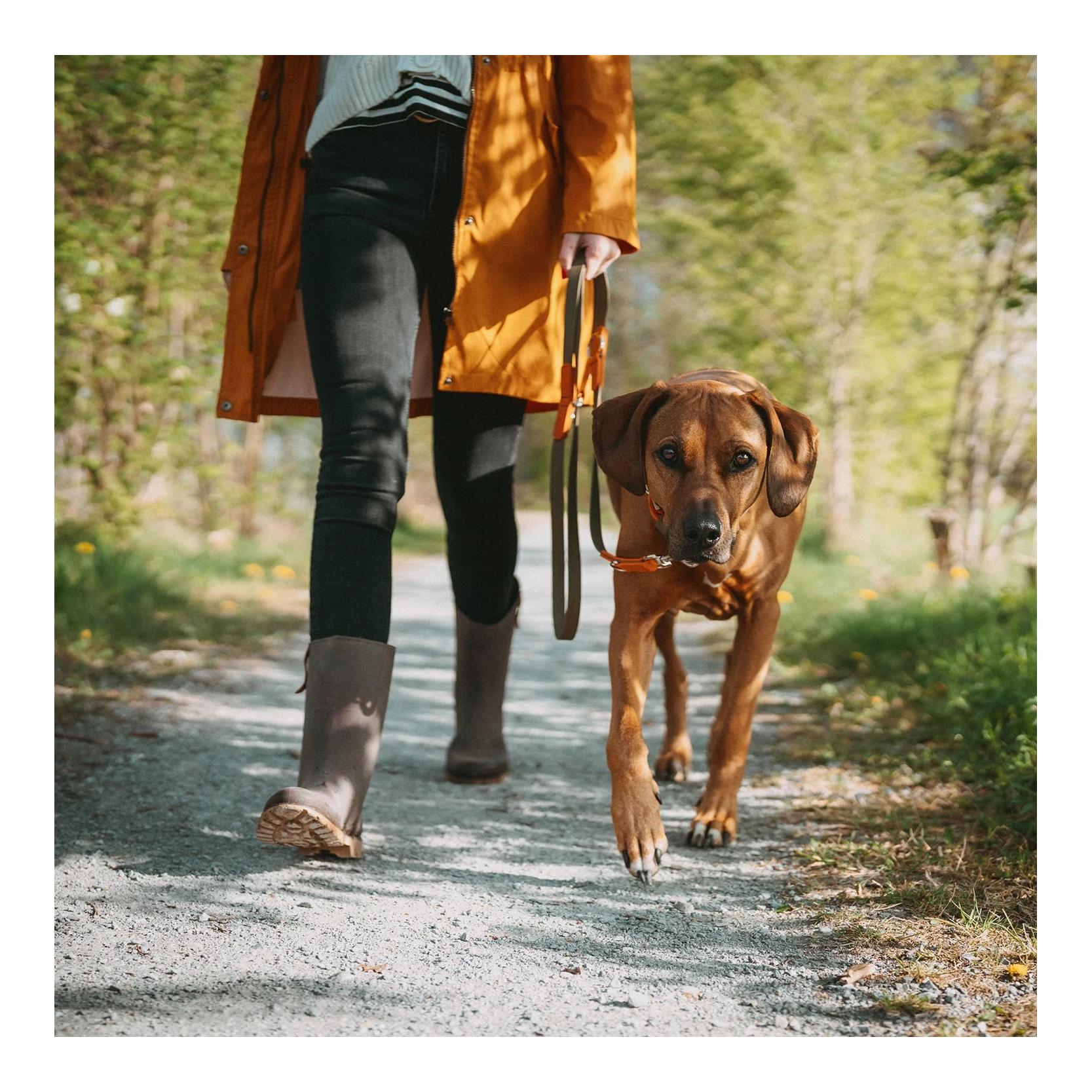 Verstellbare Führleine Wolmar BioThane® x Leder