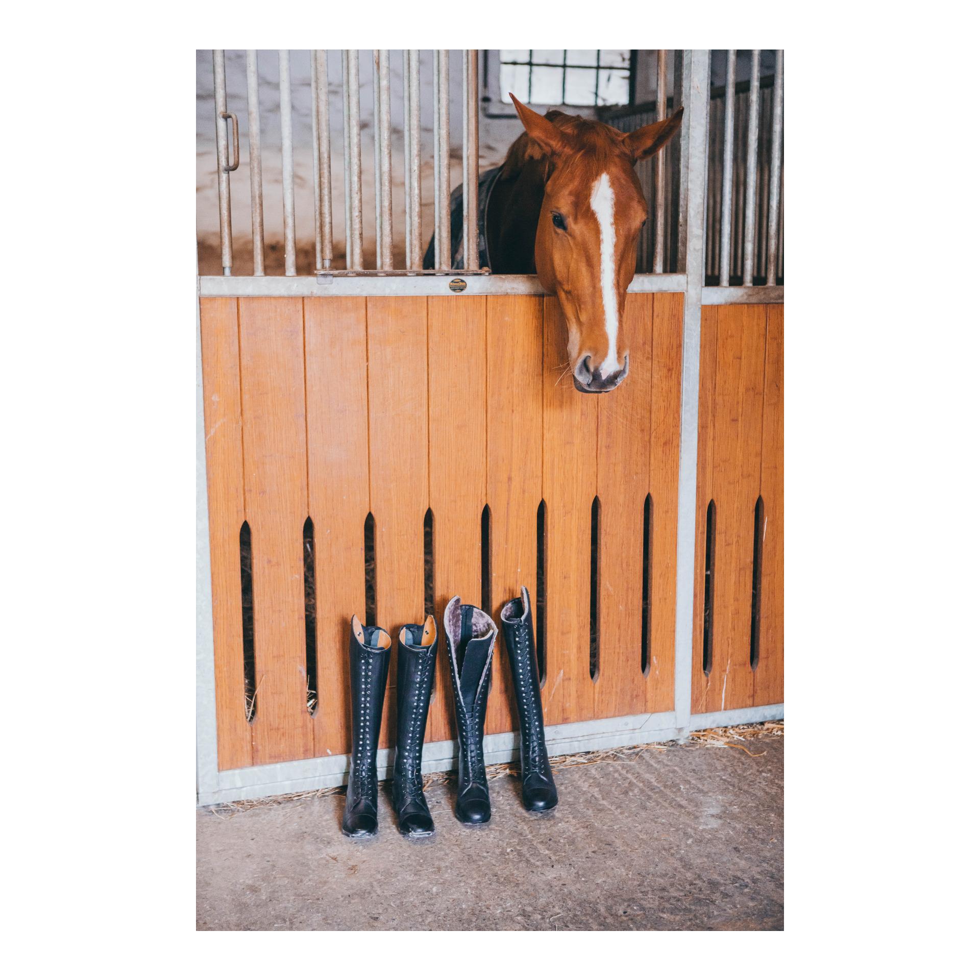 Reitstiefel Legacy Venado Merino