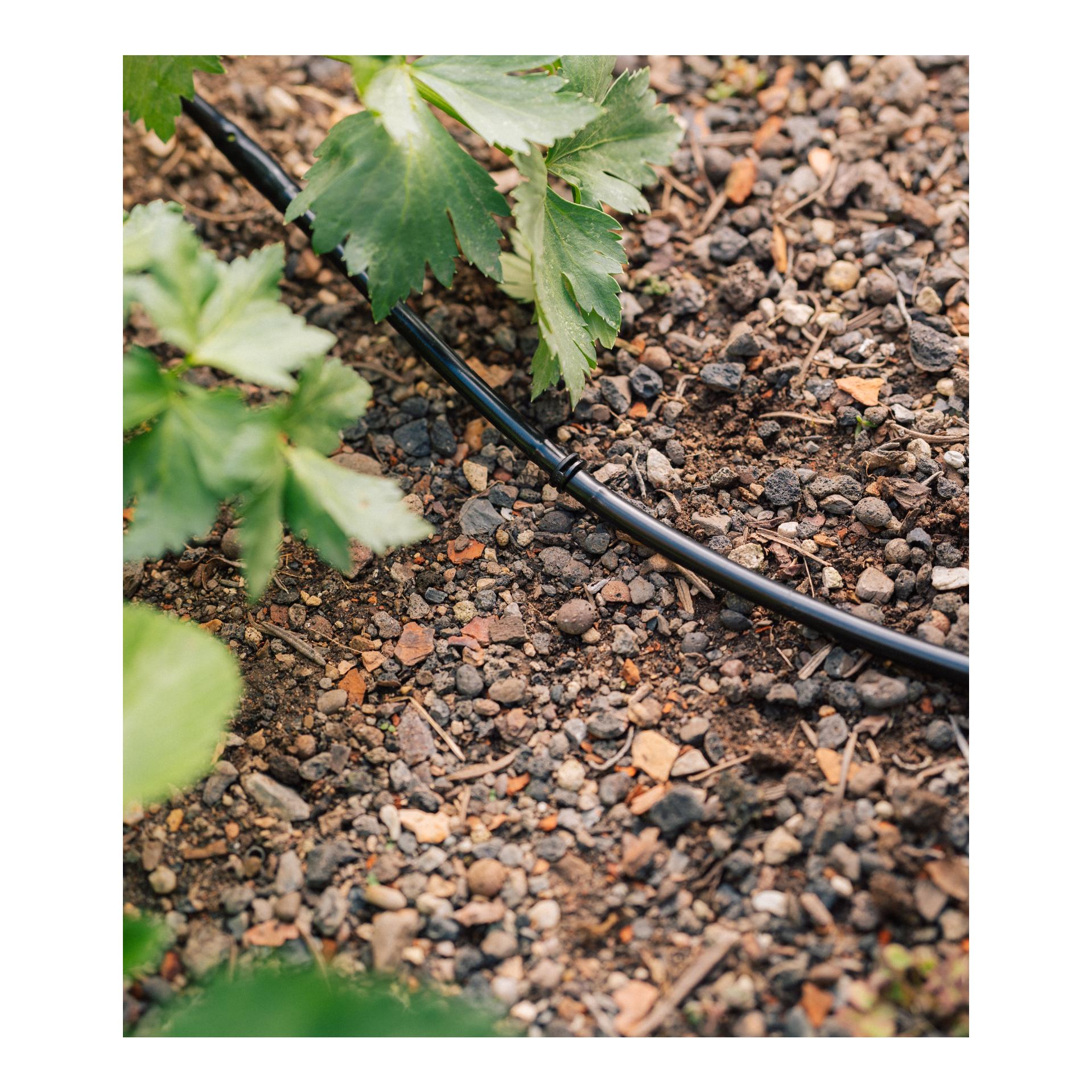 Drip-Set Bewässerung Gemüse und Blumenbeete