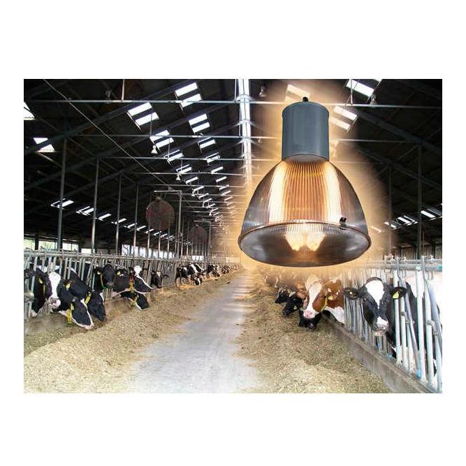 Image of Kerbl Lampe Philips 120 W zu Pendelleuchte bei Hauptner.ch