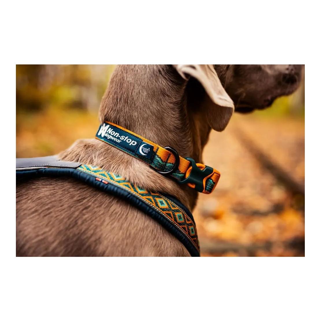 Hundehalsband Trail Quest Collar Rachel Pohl Edition 