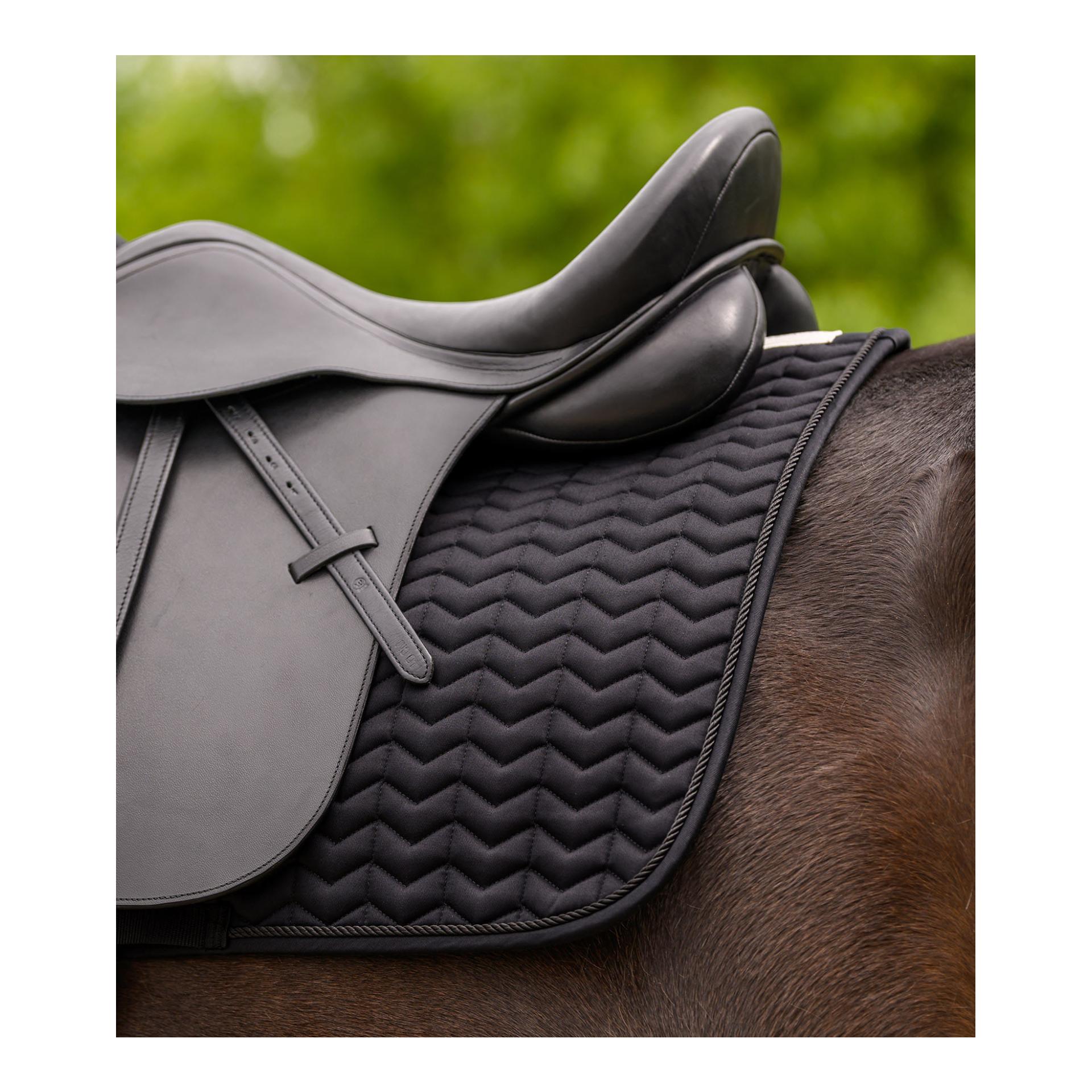 Waldhausen Chabraque Classic