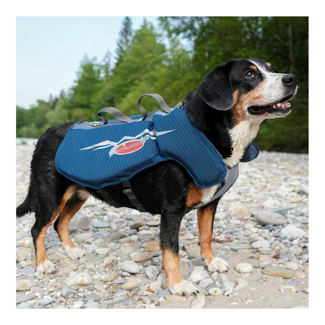 Beat Grossenbacher Gilet de sauvetage pour chiens