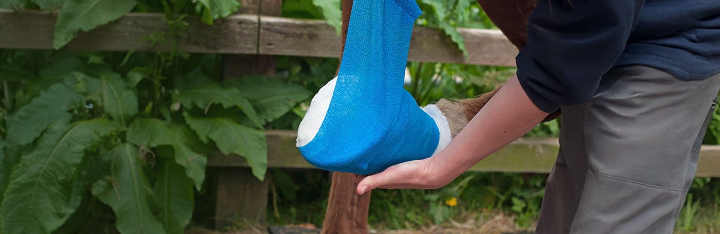 Hauptner-VET-Verbrauchsmaterial