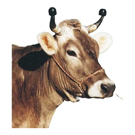 Schlagfessel Viehbändigung Kälber Rinder Kühe verzinkt Edelstahl NEU Ersatzteile 