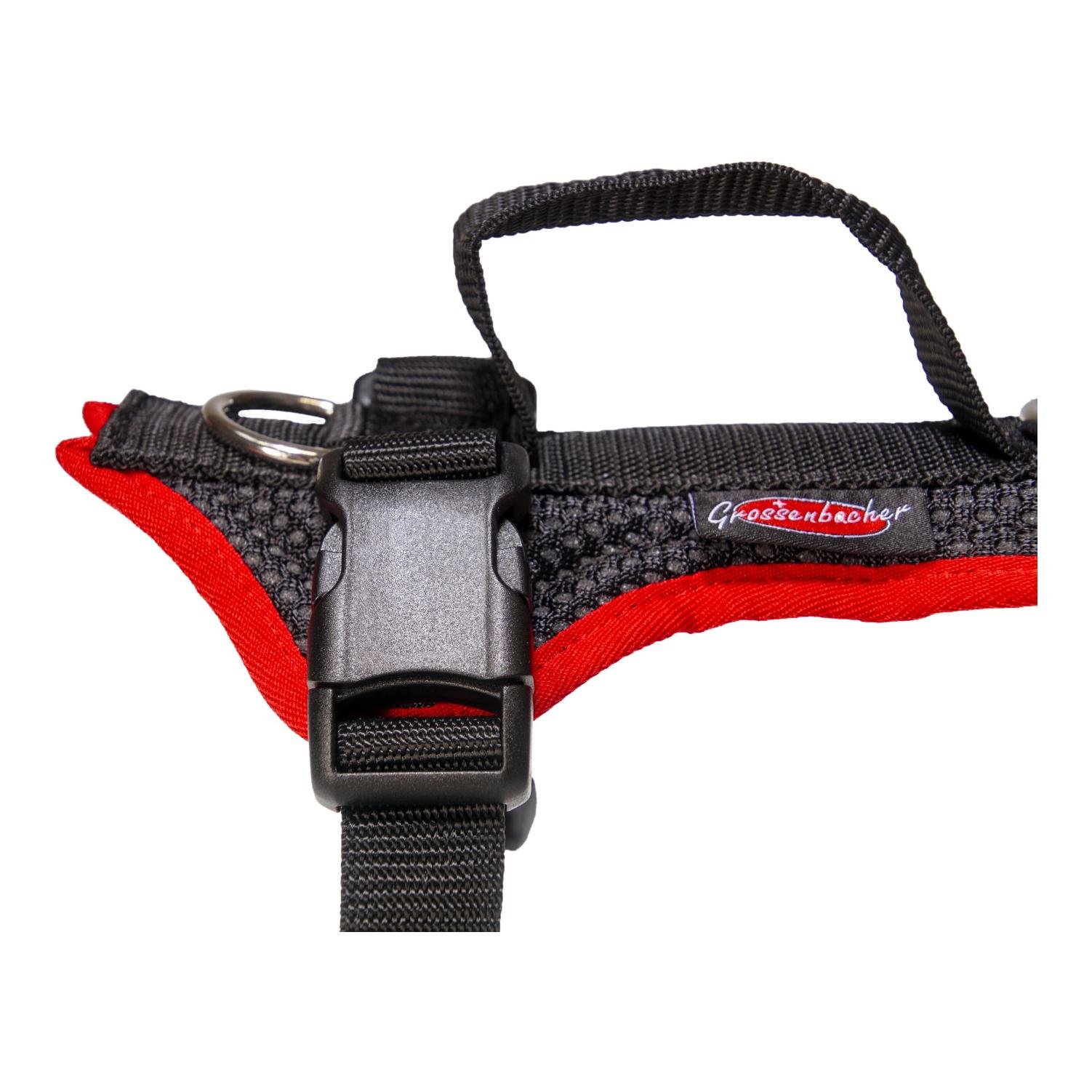 Harnais pour chien Dogs Fun Run