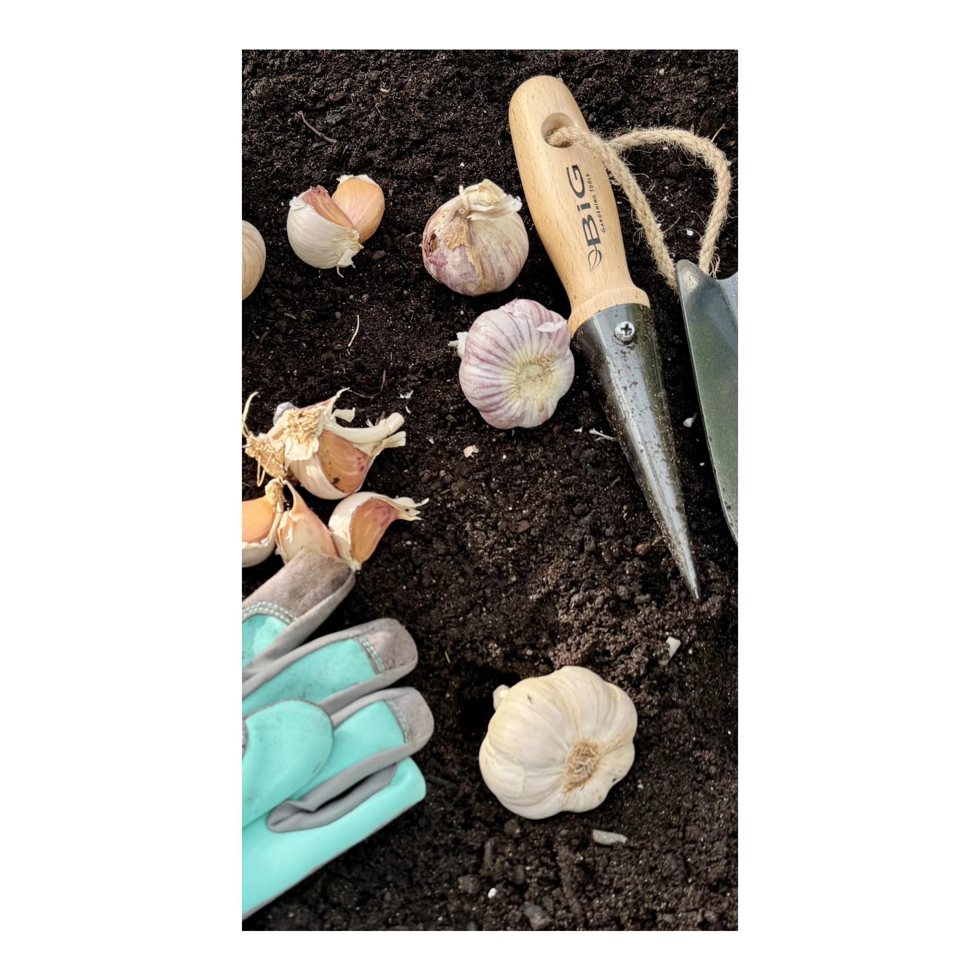 Pflanzlochstecher mit Griff