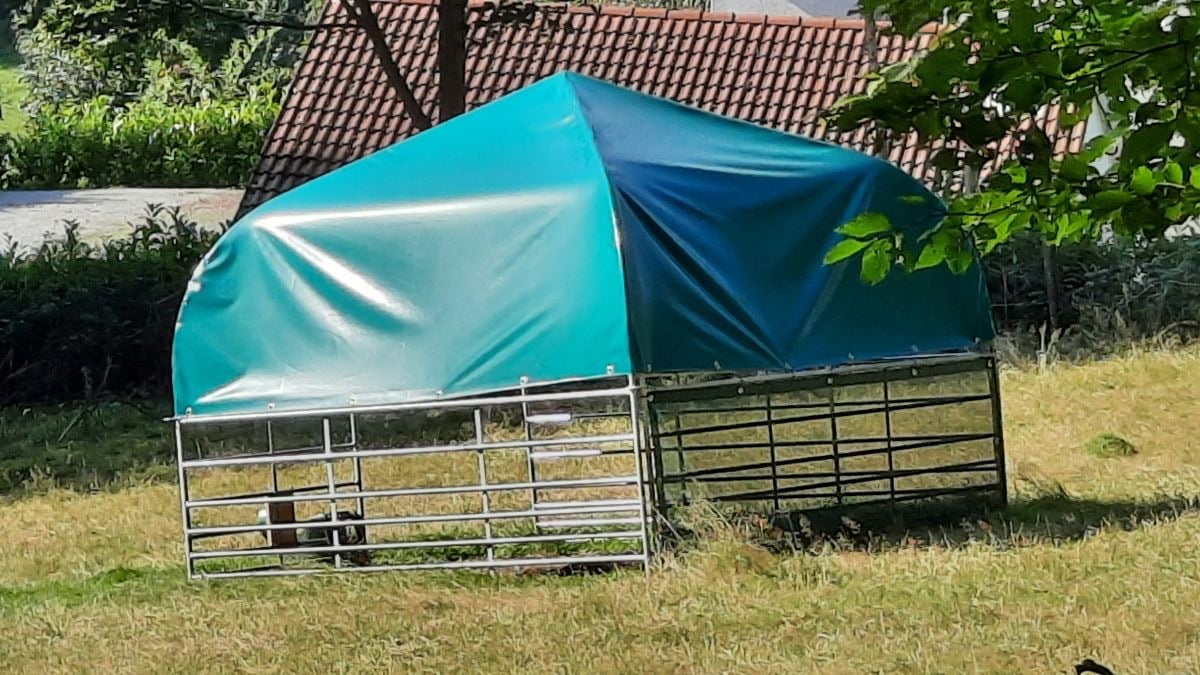 Kit complet d’abri de pâturage