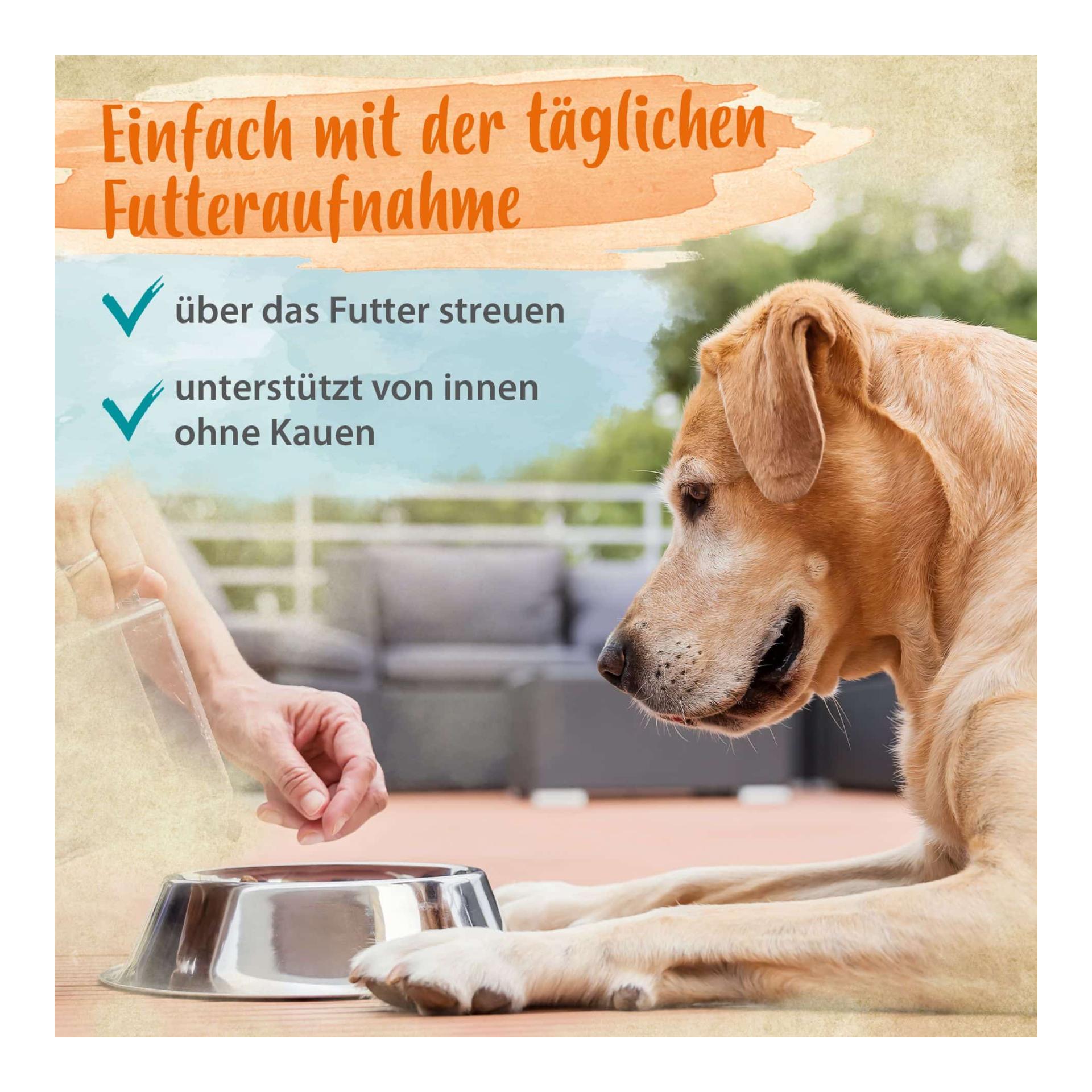 Denta Dog - kinderleichte Hunde Zahnpflege - stoppt Hunde Mundgeruch