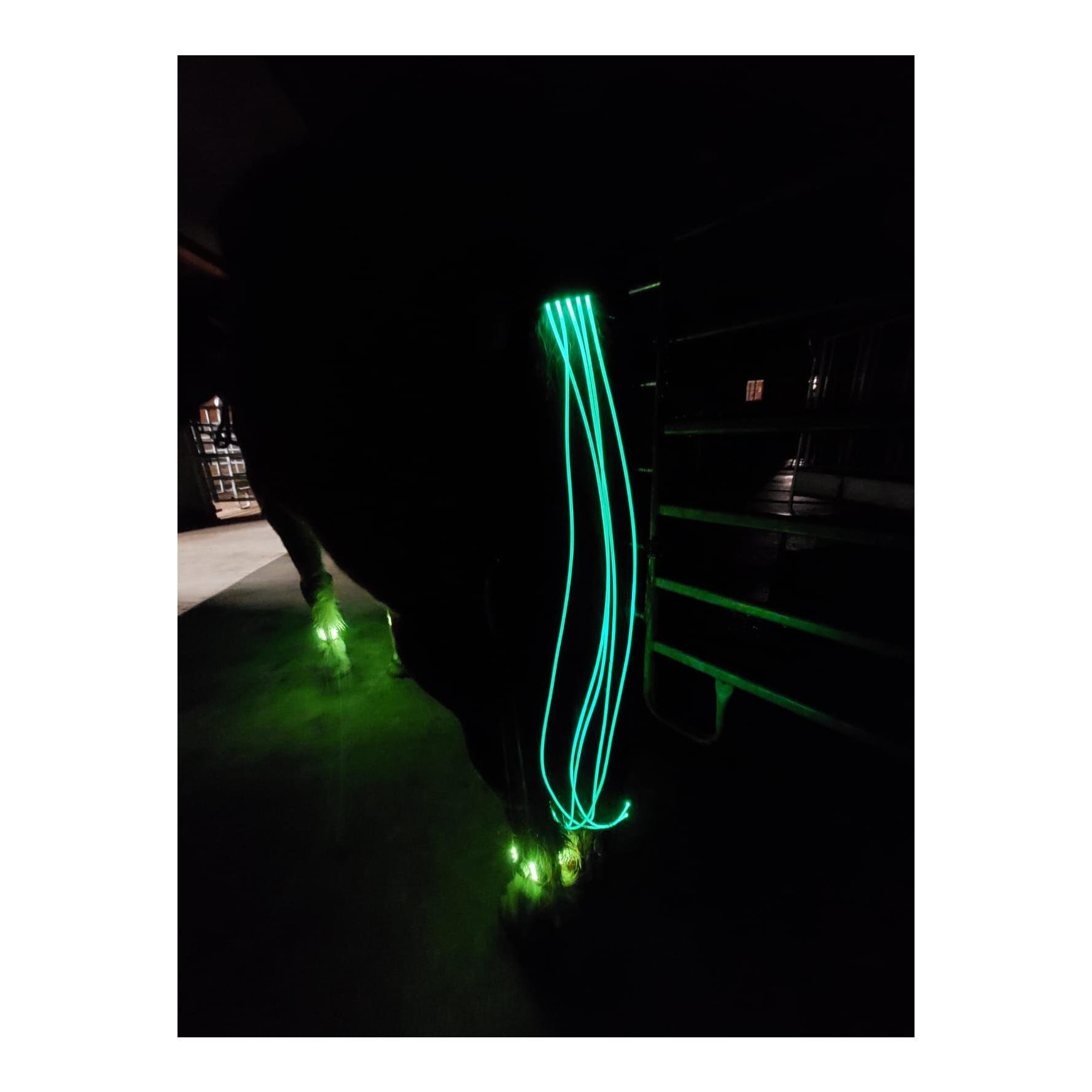 LED Schweifbeleuchtung Long 2.0 - grün