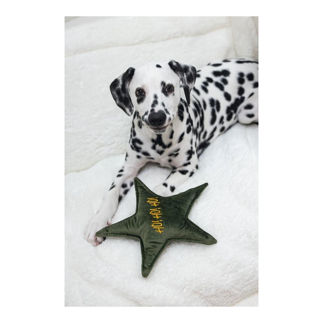Hundespielzeug Weihnachtsstern Samt