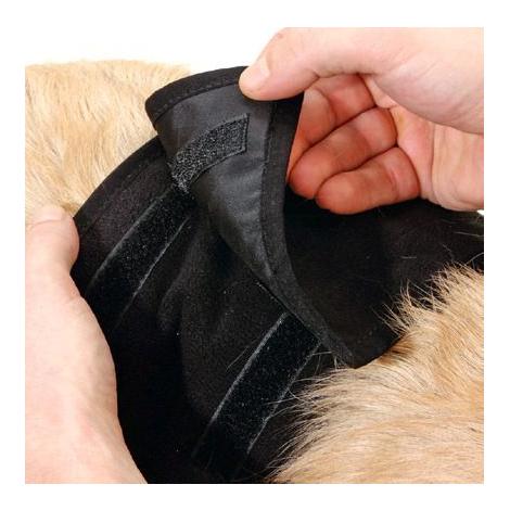 Rüden Hundeschutzhose