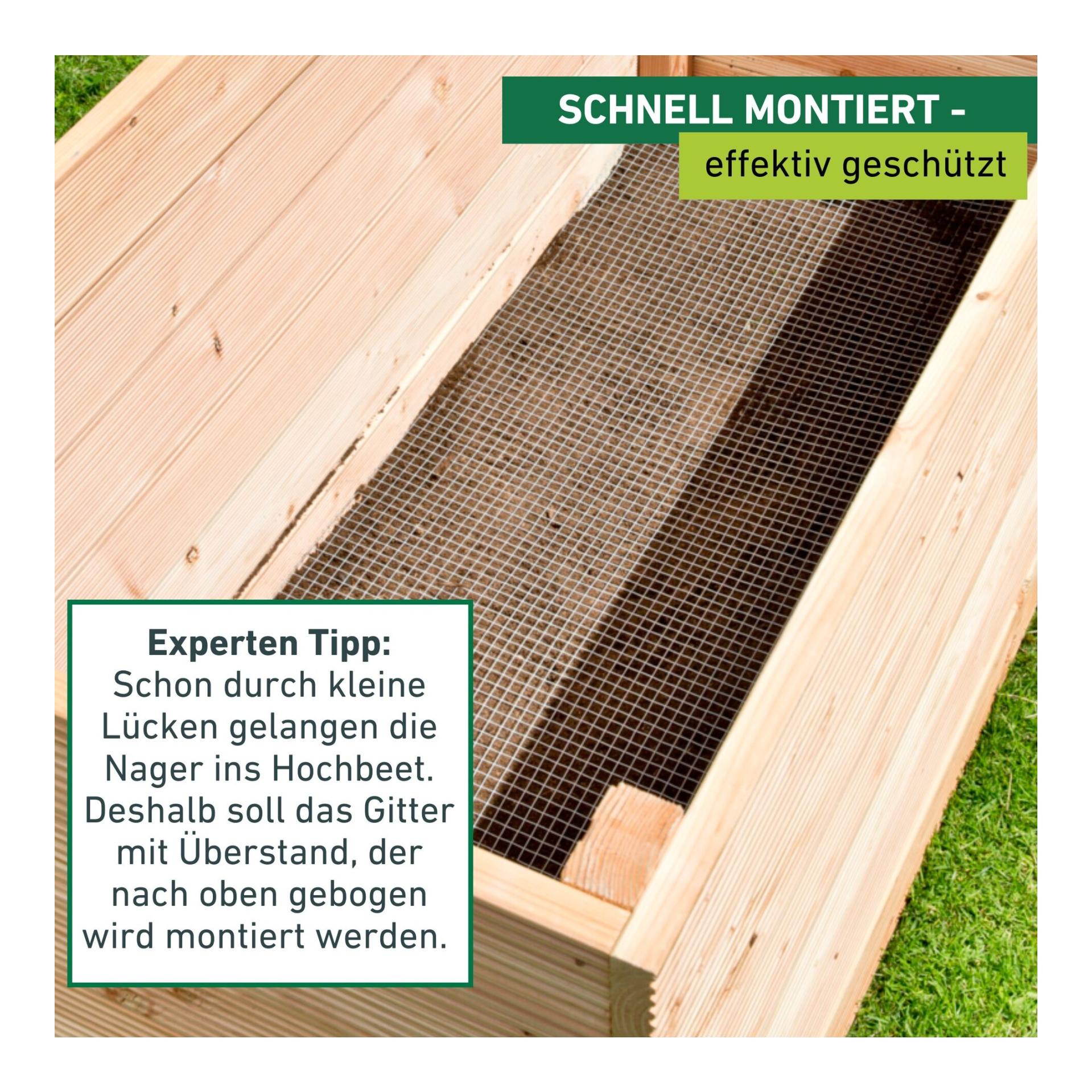 Windhager Grille anti-campagnols pour plates-bandes - zingué