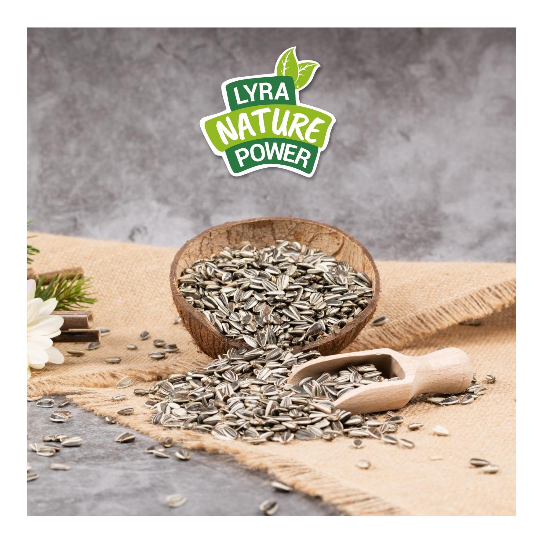 Sonnenblumenkerne gestreift