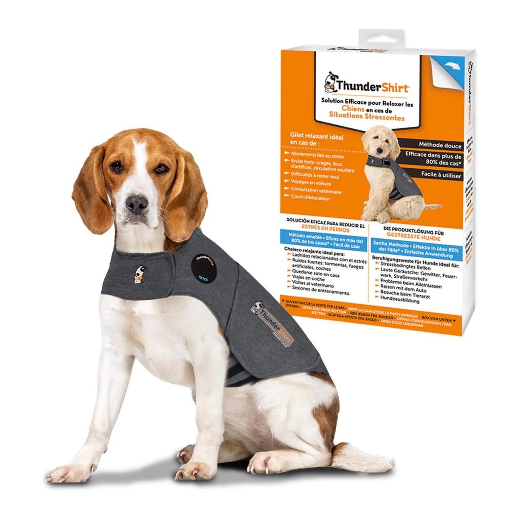 Gilet anti-stress pour chien