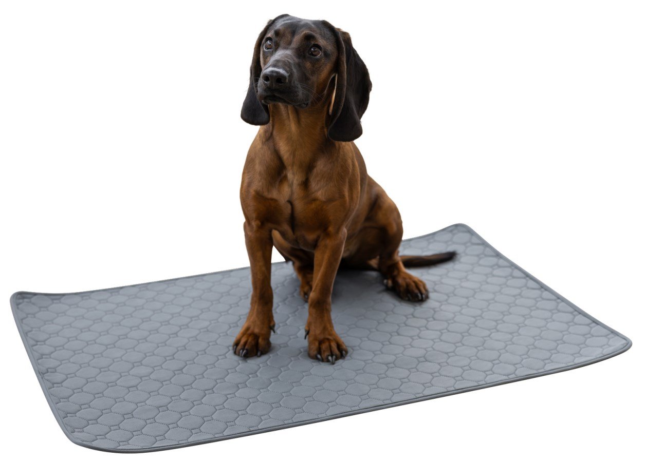 Alèse éducative lavable