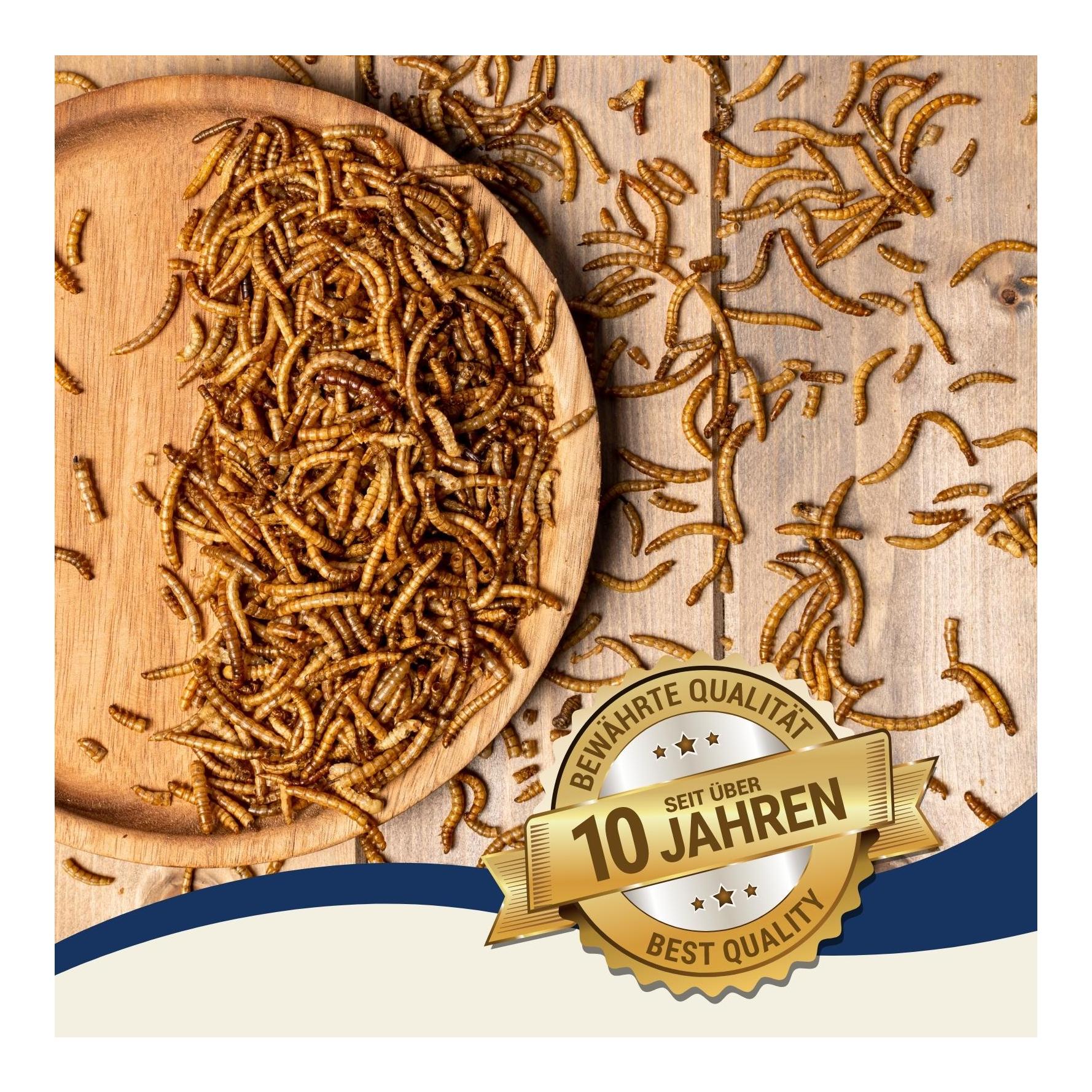 Mehlwürmer getrocknet