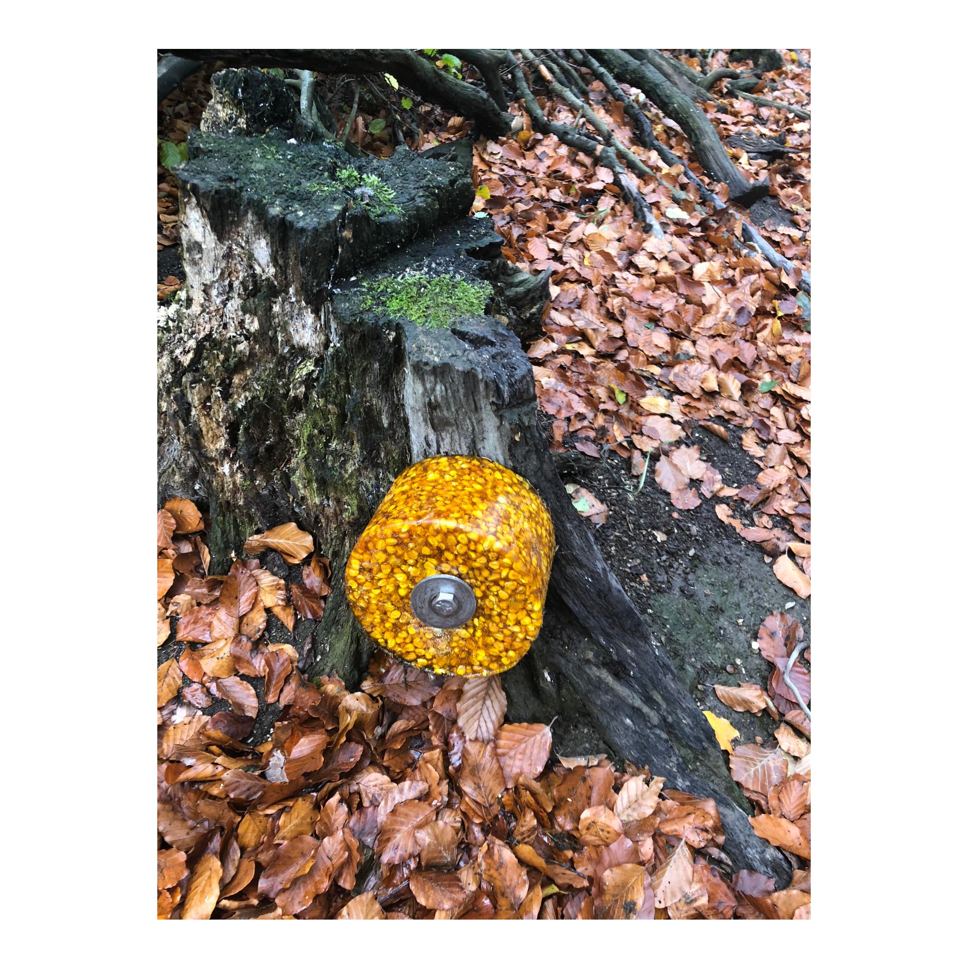 Befestigungsset Baumanbringung für Lecksteine