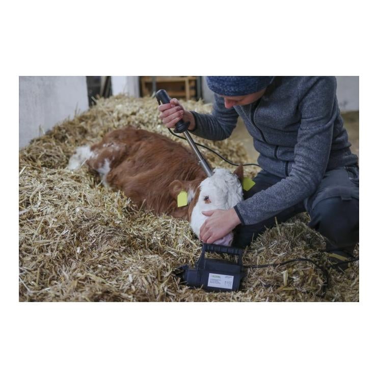 Enthorner mit Trafo 24V / 250W