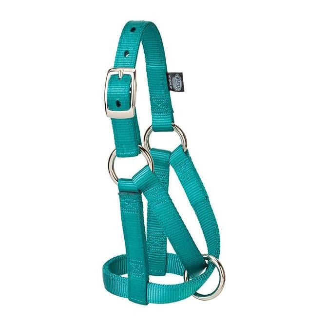 Image of Weaver Livestock Ziegenhalfter - Teal - bei Hauptner.ch