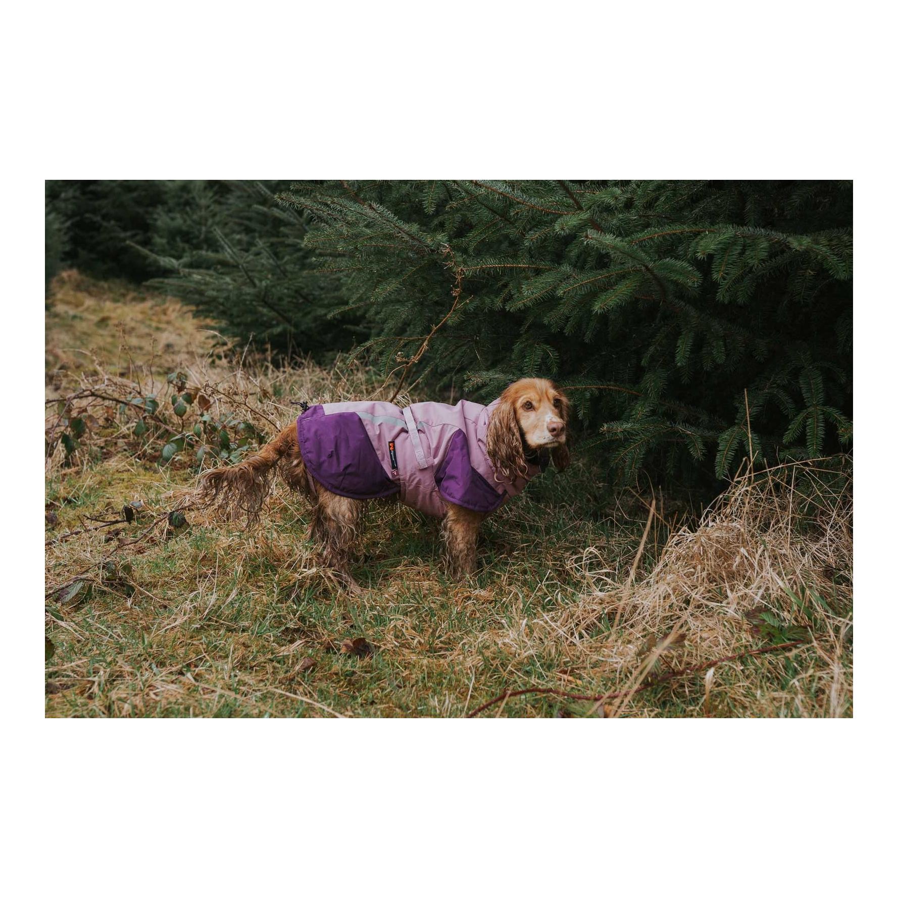 Hunde Winterjacke Glacier jacket 3.0