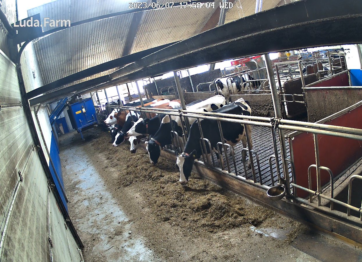 FarmCam Flex 5MP - Kit de démarrage